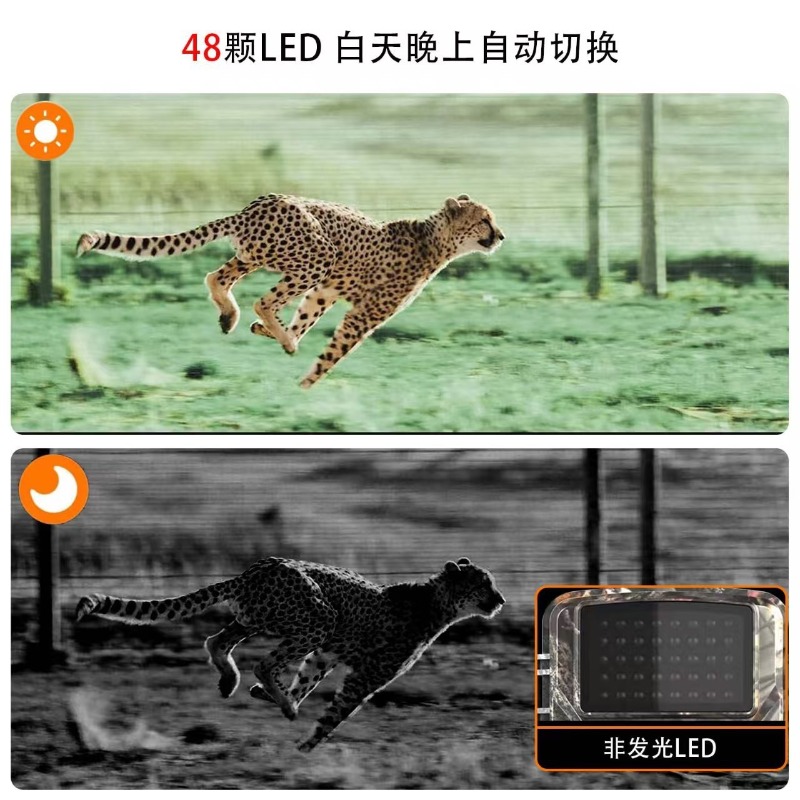 SONDERANGEBOT DL001 Jagdkamera – Outdoor Hunting Videos Bewertung und Preis
