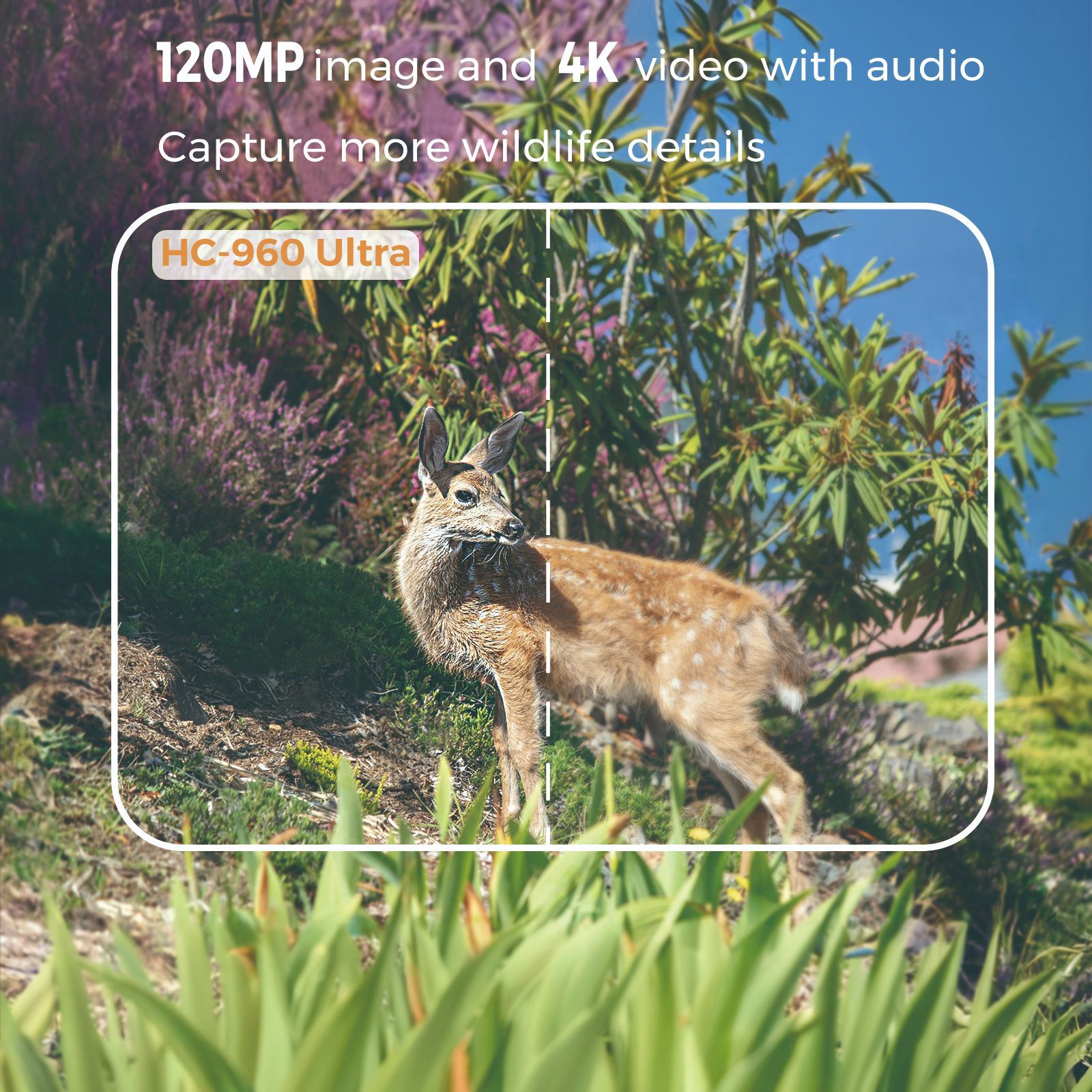 Outdoor 4K Video 120MP Foto 4G – Outdoor Hunting Videos Bewertung und Preis