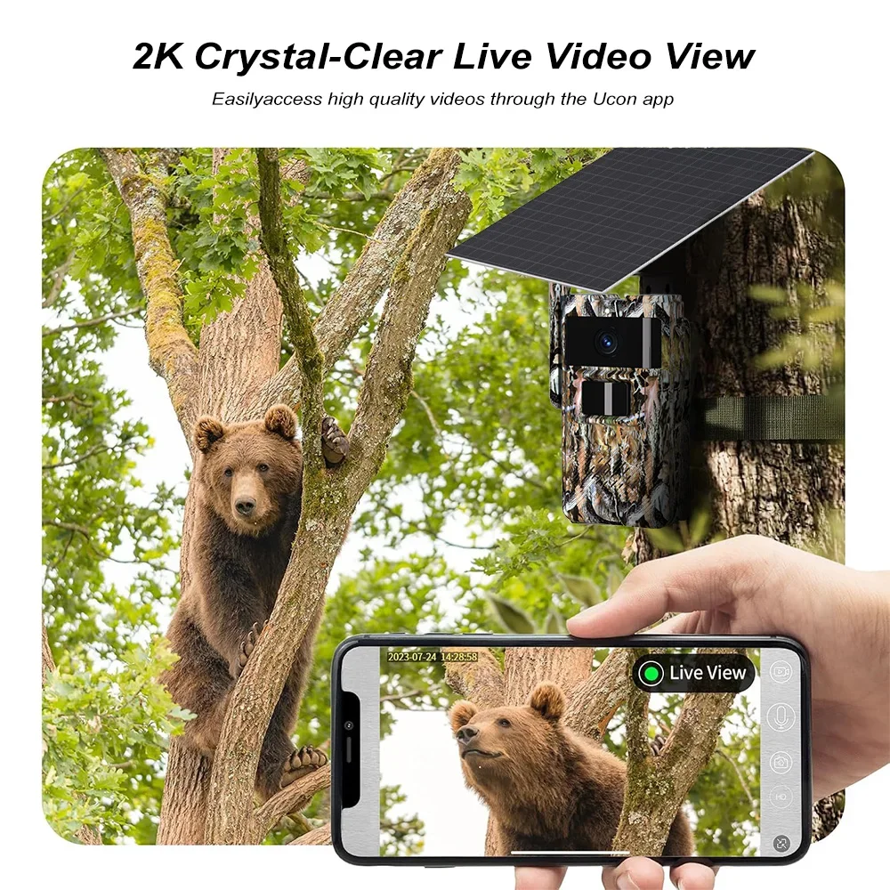 PEGATAH 4G Solarbetriebene Wil – Outdoor Hunting Pictures Bewertung und Preis